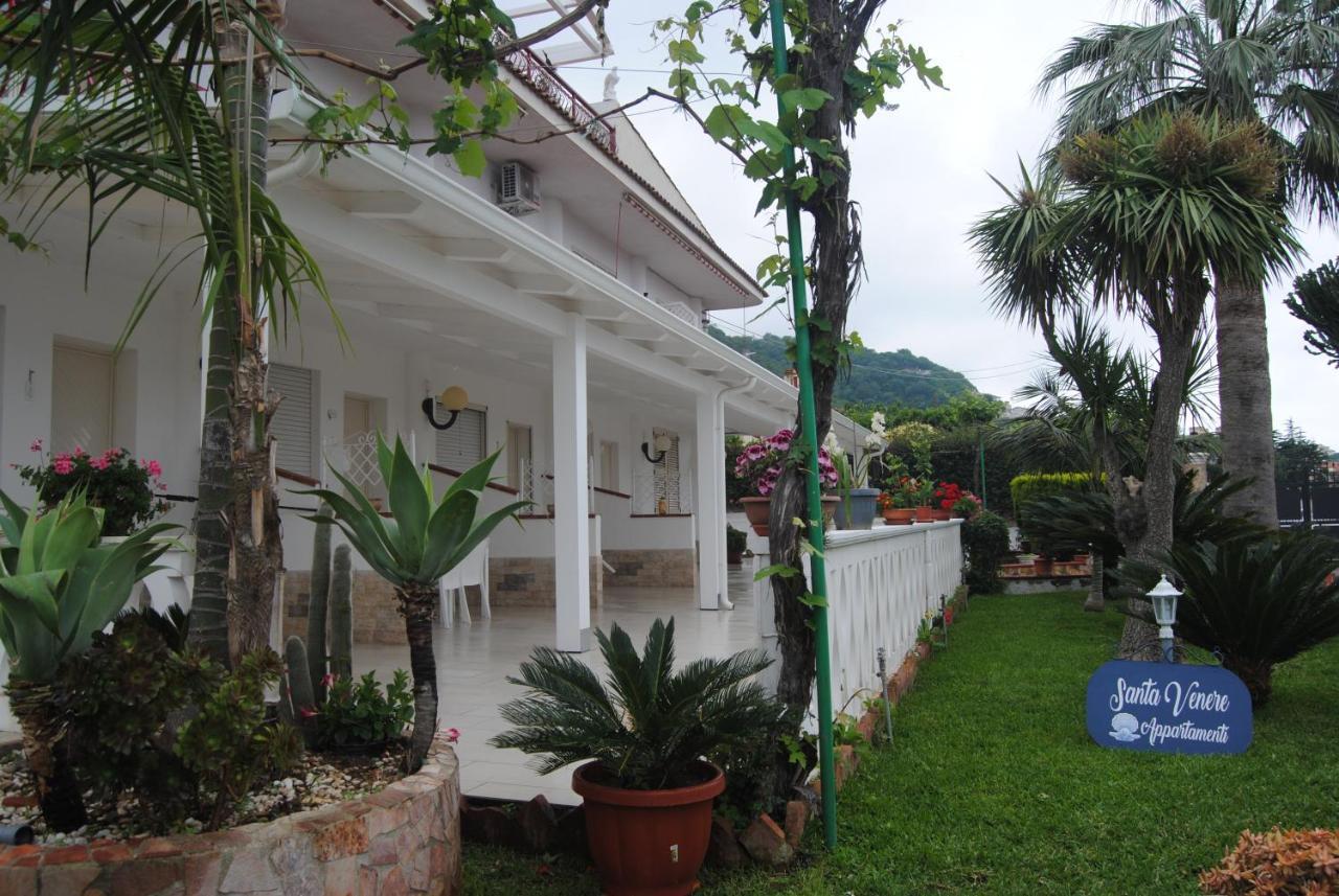 Santa Venere Apartments "Parcheggio Privato" Ricarica Auto Elettriche 特罗佩阿 外观 照片