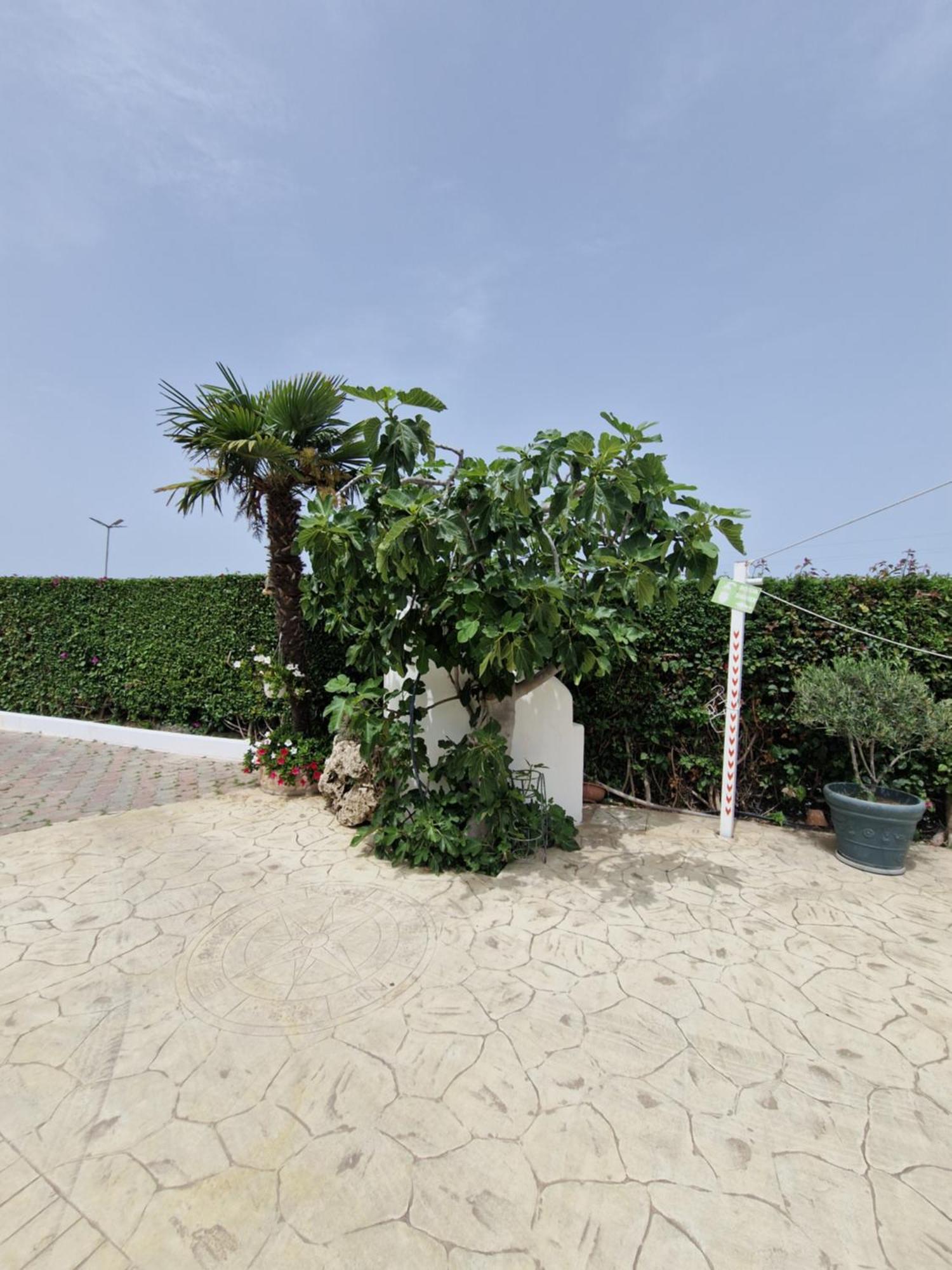 Santa Venere Apartments "Parcheggio Privato" Ricarica Auto Elettriche 特罗佩阿 外观 照片